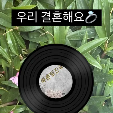 Profile image of 하상민