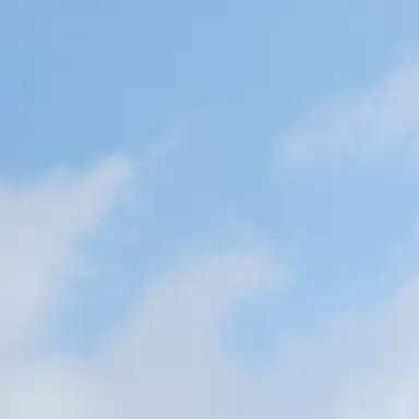 Profile image of 渡辺翔太