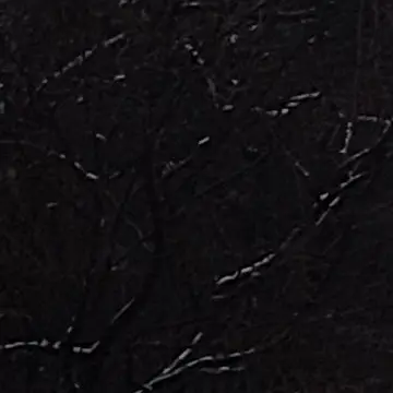 Profile image of 蒼.