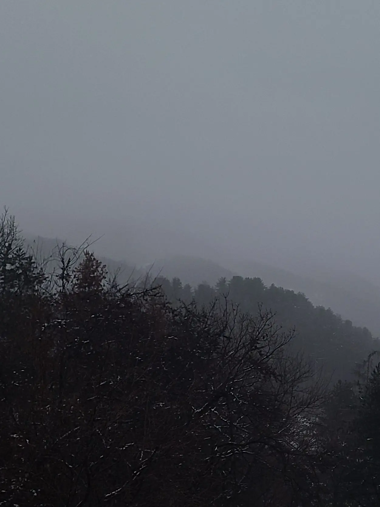 PettyDoor3802의 전 독수리와 삽니다.