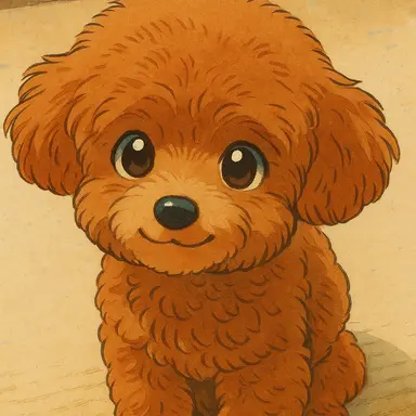 Profile image of 채콩