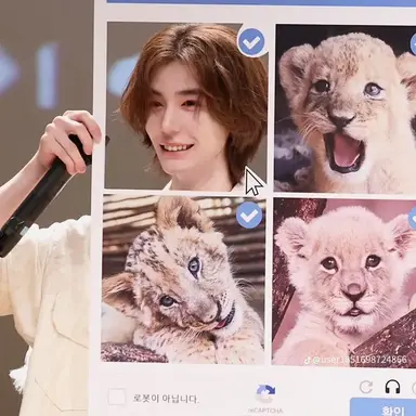 Profile image of 문이한