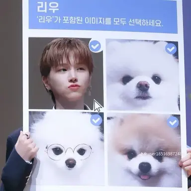 Profile image of 문리우