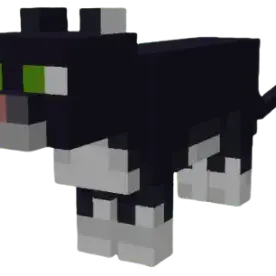 Profile image of Neko