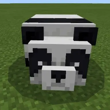 Profile image of Panda