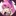 魔乃アロエ