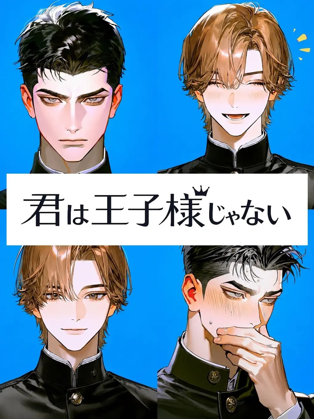 kashikoi_inu의 君は王子様じゃない