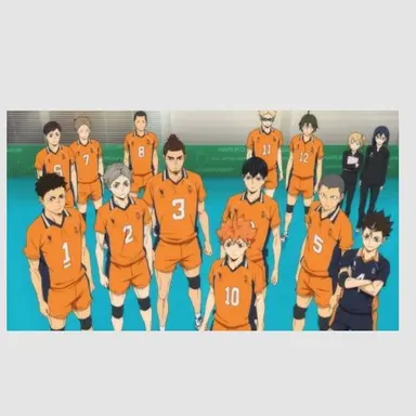 Profile image of 烏野の人