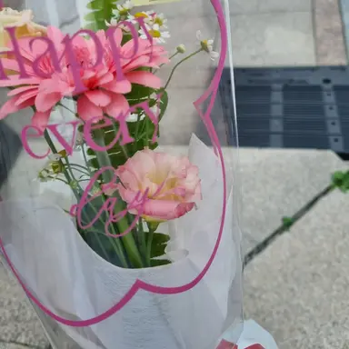 Profile image of 수진이 지현이 시준