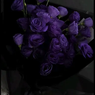 Profile image of 佐伯イッテツ