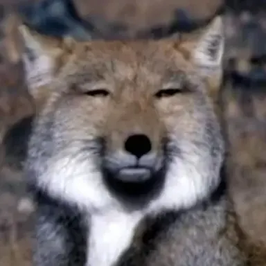 Profile image of 마리
