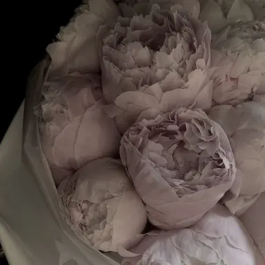 Profile image of 박덕개