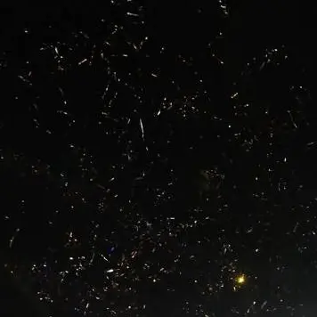 Profile image of コウ