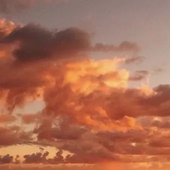 Profile image of 덕개