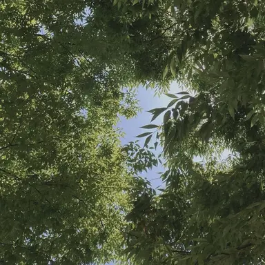 Profile image of 정형준