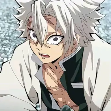 Profile image of 시나즈가와 사네미