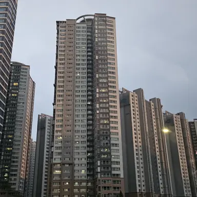 Profile image of 공룡