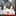 よいよいんぐ
