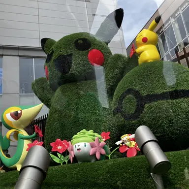 Profile image of 麻琴