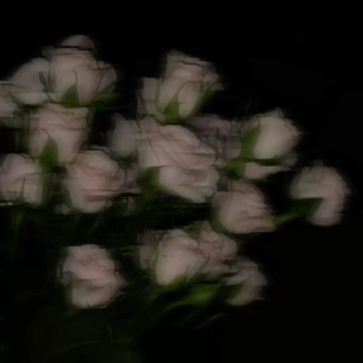 開花 대표 이미지