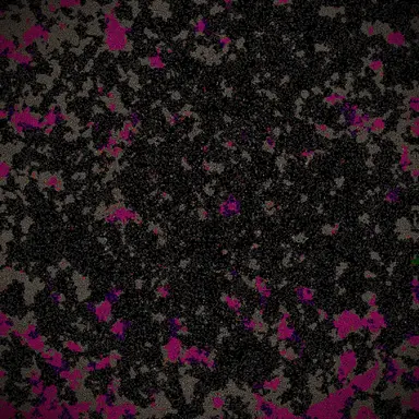 Profile image of Obsession