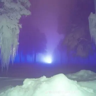 Profile image of 노아