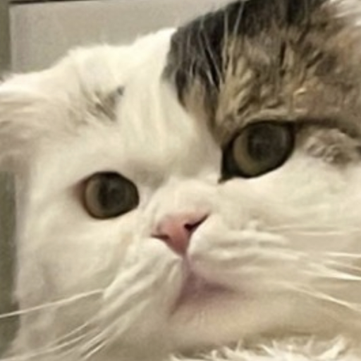 찐친 서윤 대표 이미지