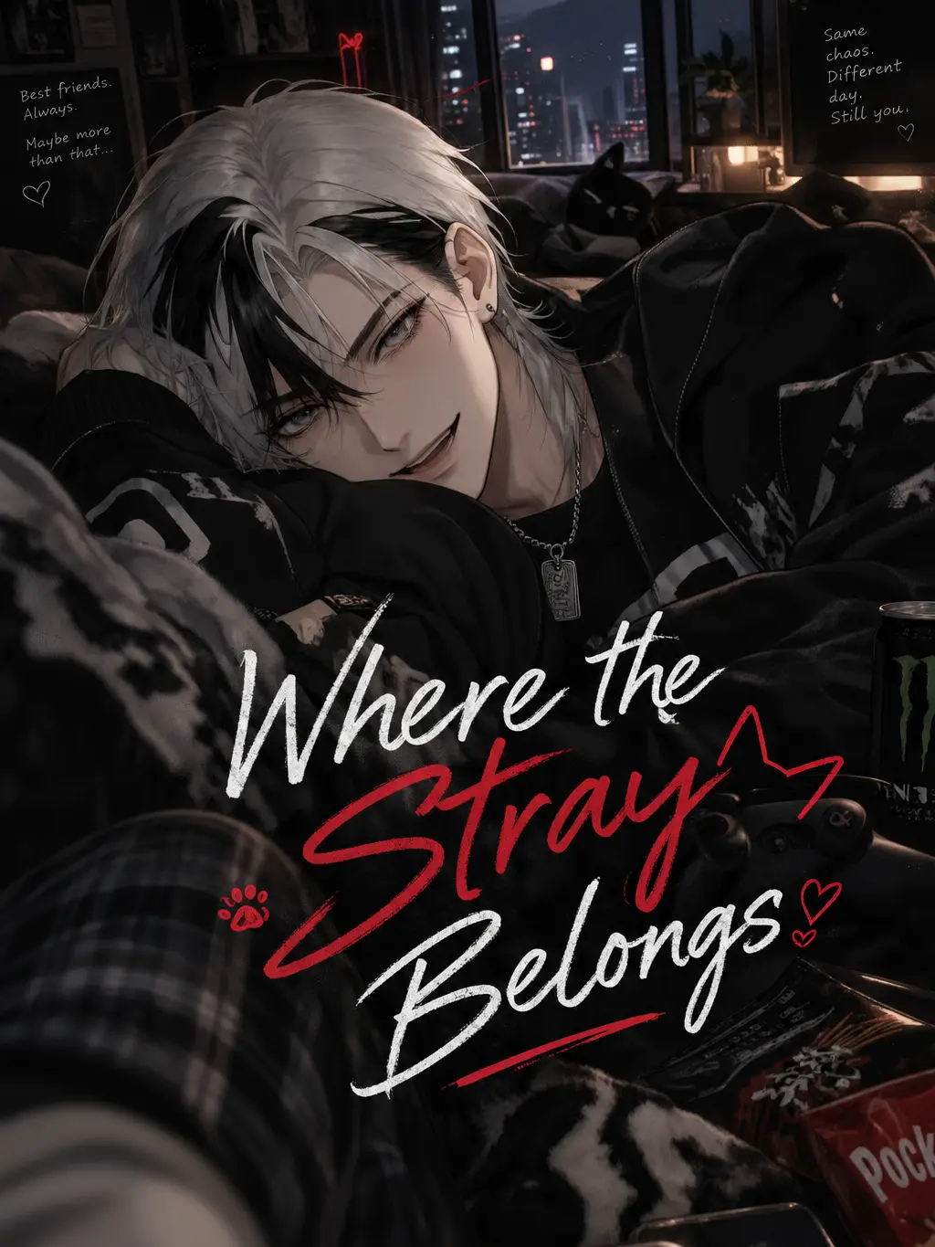 TillyWilly의 Where the stray belongs