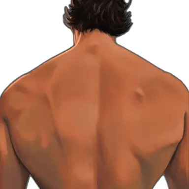 Profile image of Miguel