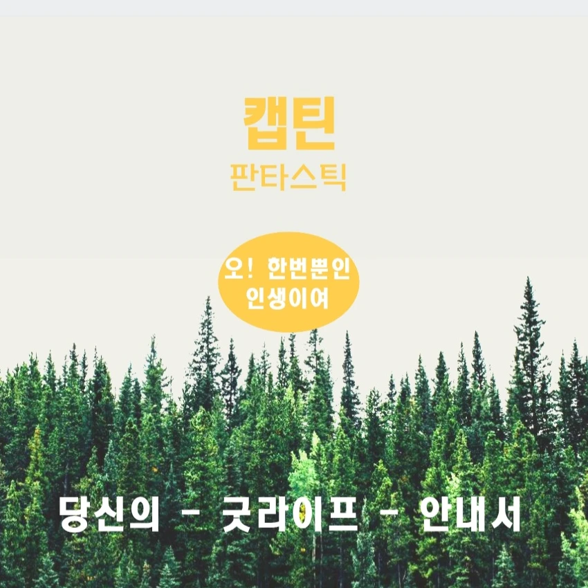 보데반 캐시