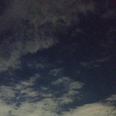 Profile image of 蒔