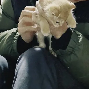 Profile image of JMIN