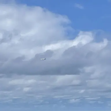 Profile image of 유저