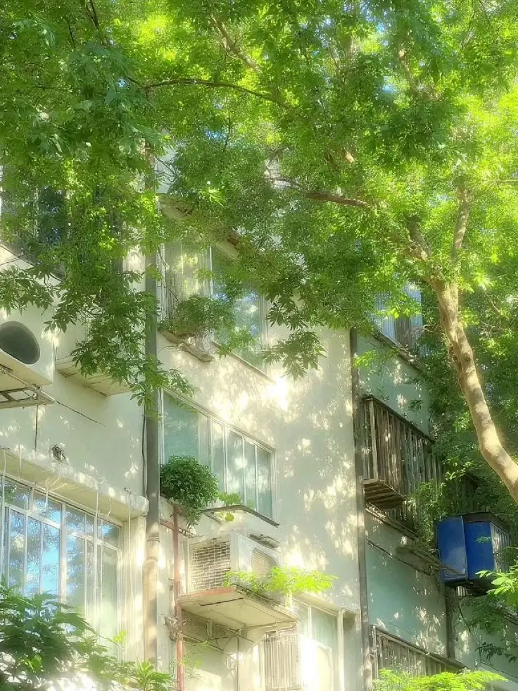 paradise_0000의 파이브