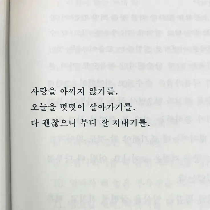 BreezyPika0068의 선생님