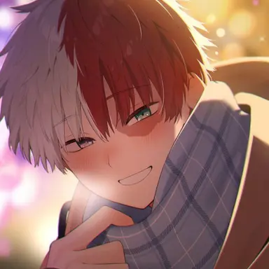 Profile image of Shoto Todoroki