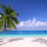 Profile image of Paradise