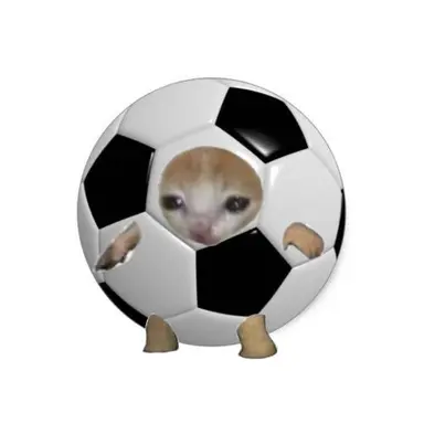 Profile image of 조규성