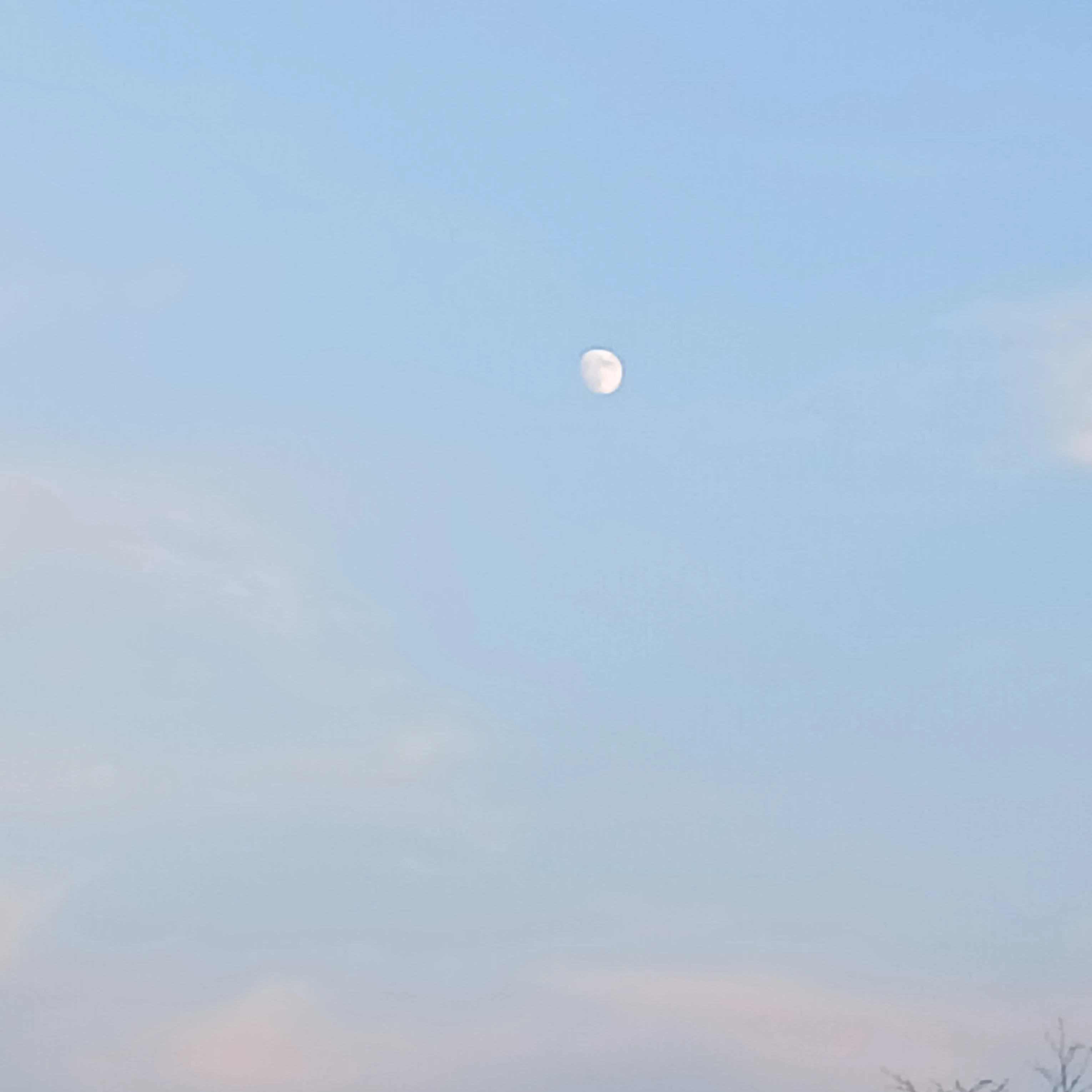 카게오