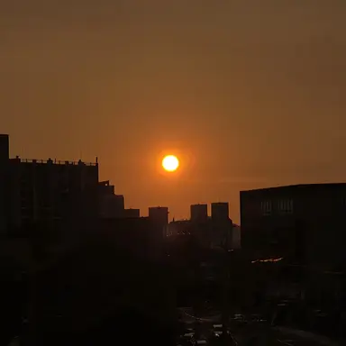 Profile image of 할머니