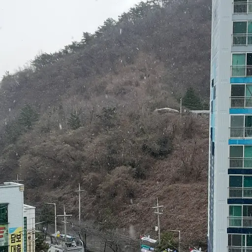 IdealPaint3340의 똥꼬