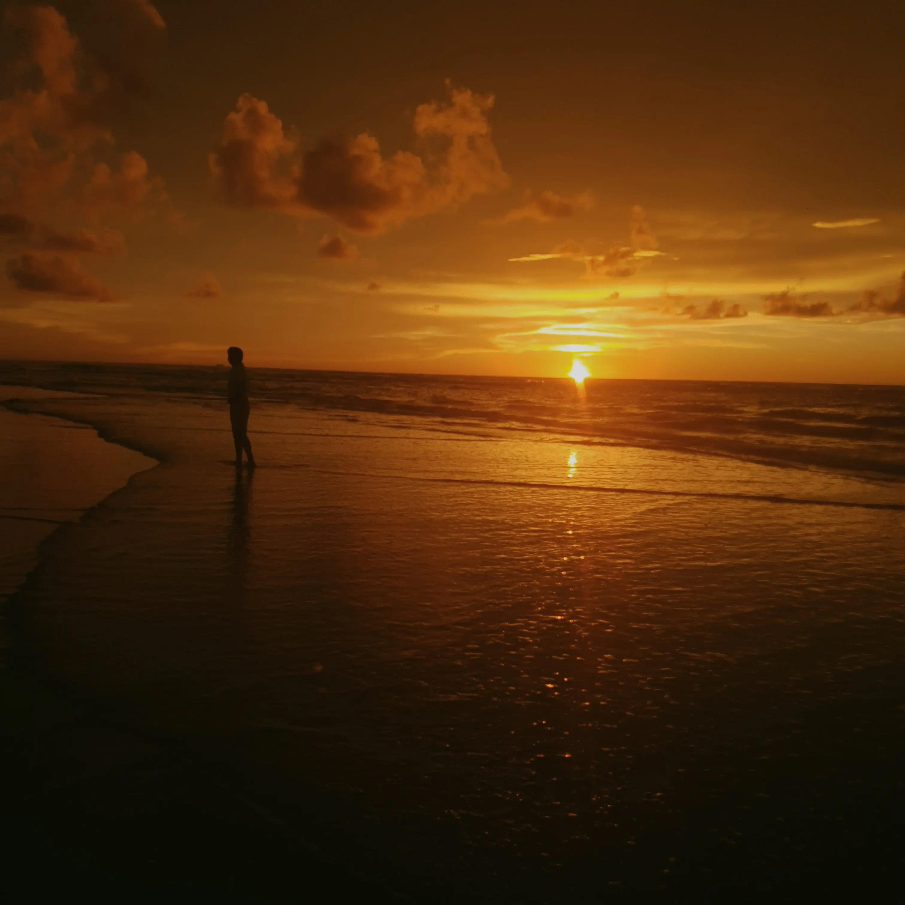 FatSeal1850의 전독시(성좌) #전독시