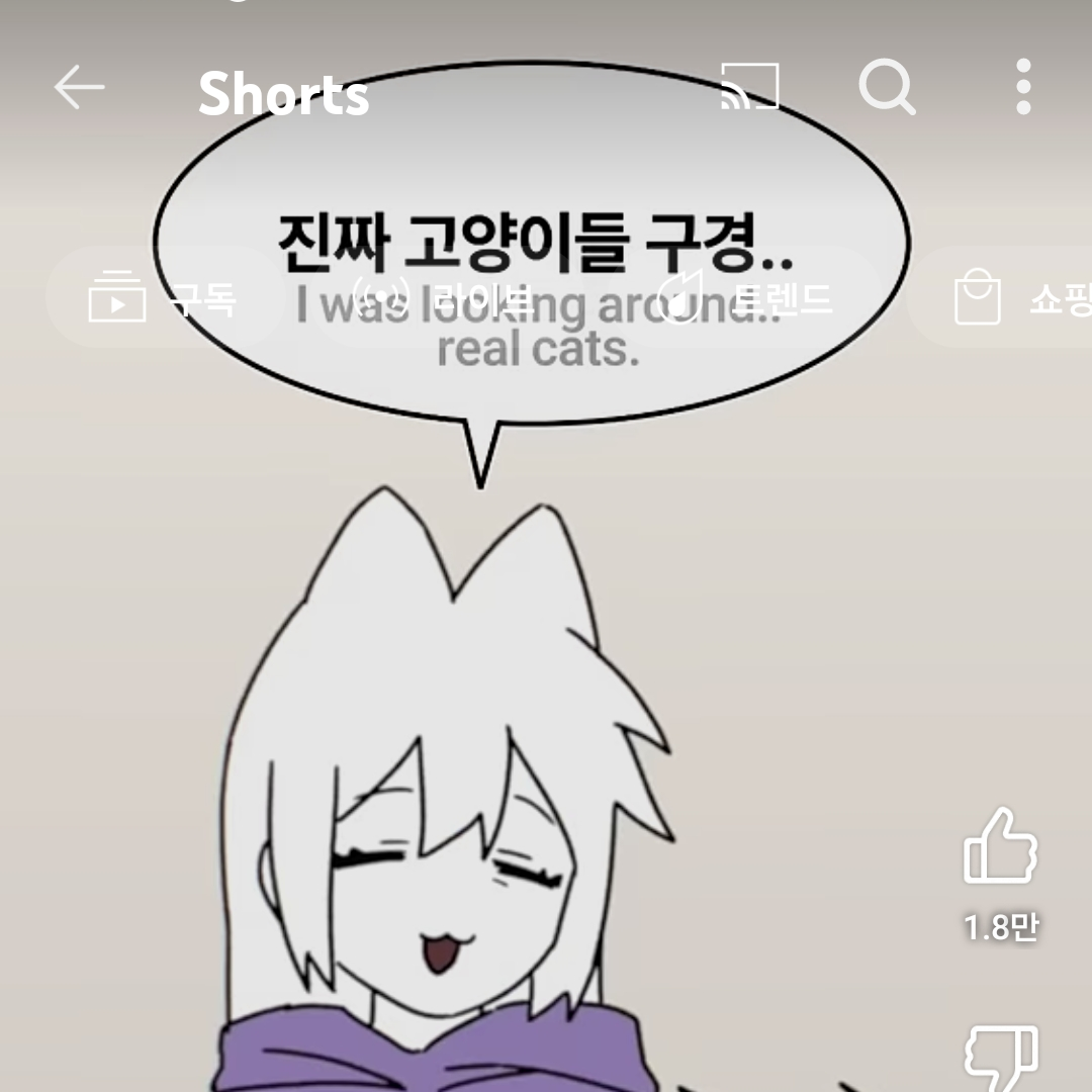 알치날 대표 이미지