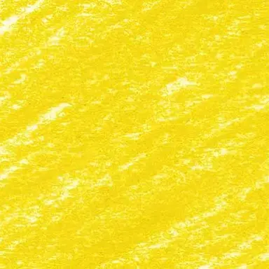 Profile image of こーた