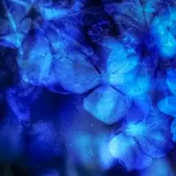 Profile image of かちょー