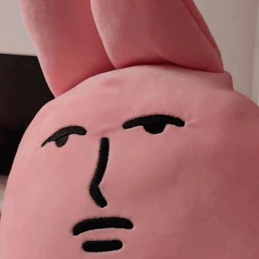 그저 인형일 뿐