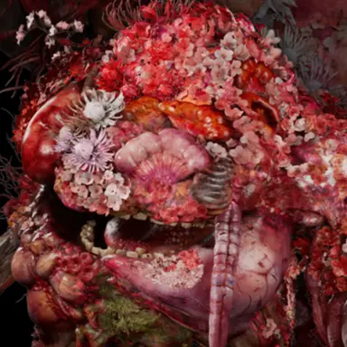 Profile image of アラアバレ