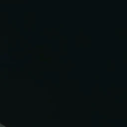 류지