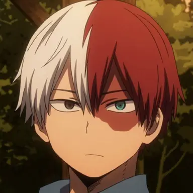 Profile image of Todoroki