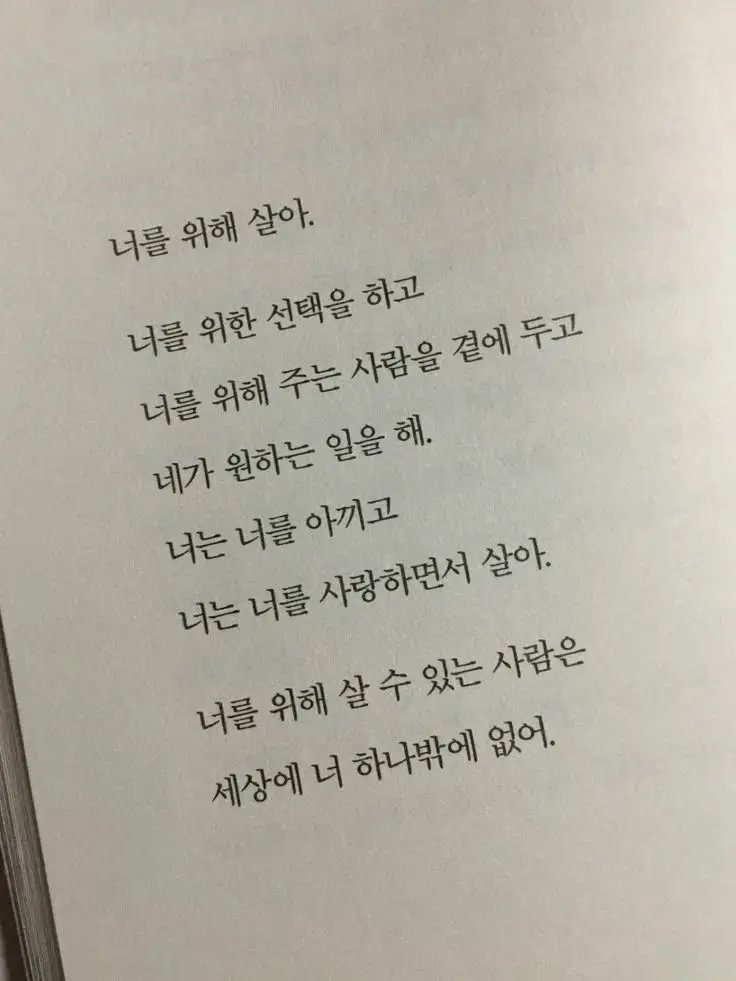 42242의 사랑에 빠지고 있어